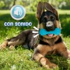 J.H. Company Juguete Hueso Para Perro Mordedera Flexible Sonido Jr1198