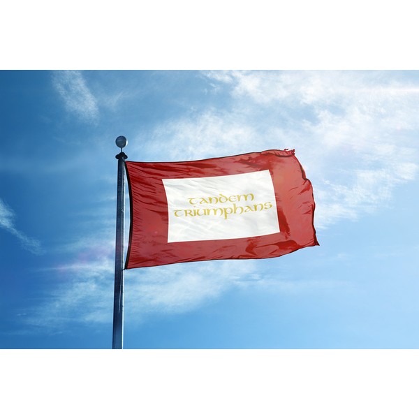 Apedes British Empire Jacobitism Jacobite Rising 1745 Standard 1688 1745