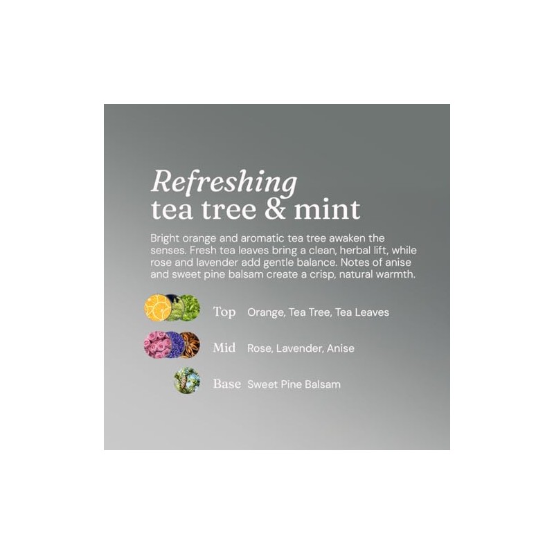 Miniml Clarifying Hair Conditioner - Refreshing Tea Tree & Mint