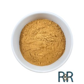 AR LLC AKUAMMA SEED EXTRACT 50x 50:1 Potent (Picralima nitida) USA MADE - 100g