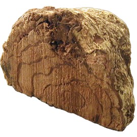 Health & Wild Grass Tea Center, Made in India, 100% Salacia Powder, 4.6 oz (130 g)