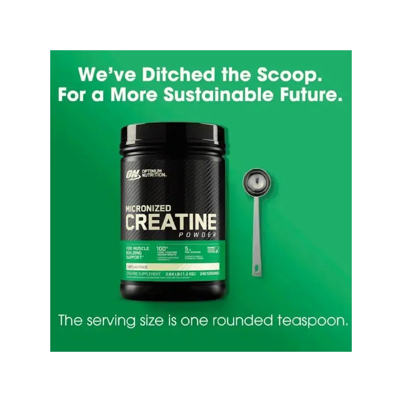 Creatina Monohidratada On Creatine Powder 1200 G 240 Servs