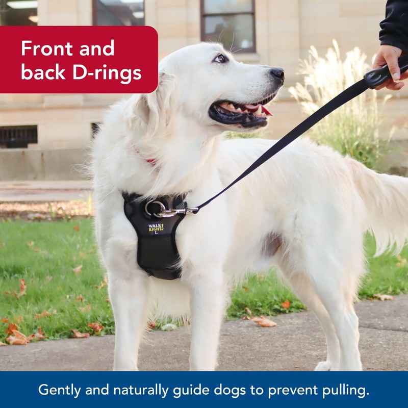 Coastal Pet Walk Right Front-Connect No-Pull Padded Dog Harness -