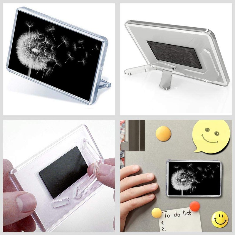 1 x Fridge Magnet - Dandelion Plant #39655