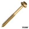 TERF® 6.0 X 25mm Advanced Turbo Coach Screws 6.0 X