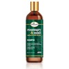 Difeel Champú de Menta y Romero con Biotina