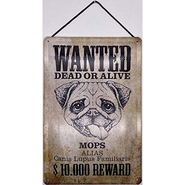 Blechschild With Cord 30 x 20 cm Animal Sign: Wanted Dead or Alive $10,000 Reward - Pug - Blechemma