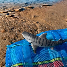 Safari Ltd. Tiger Shark Figurine - Detailed 4.5" Plastic Model Figure - Fun Educational Play Toy for Boys, Girls & Kids Ages 3+