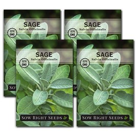 Sow Right Seeds - Sage Seeds for Planting - Non-GMO Heirloom Packet with Instructions to Plant and Grow Kitchen Herb Garden - Indoor or Outdoor - Great for Pollinators - Culinary Seasoning (4)