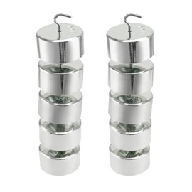 QWORK Double Hook Physics Weights Set, 10pcs 100g Metal Weights – Ideal for Lab Force and Motion Experiments