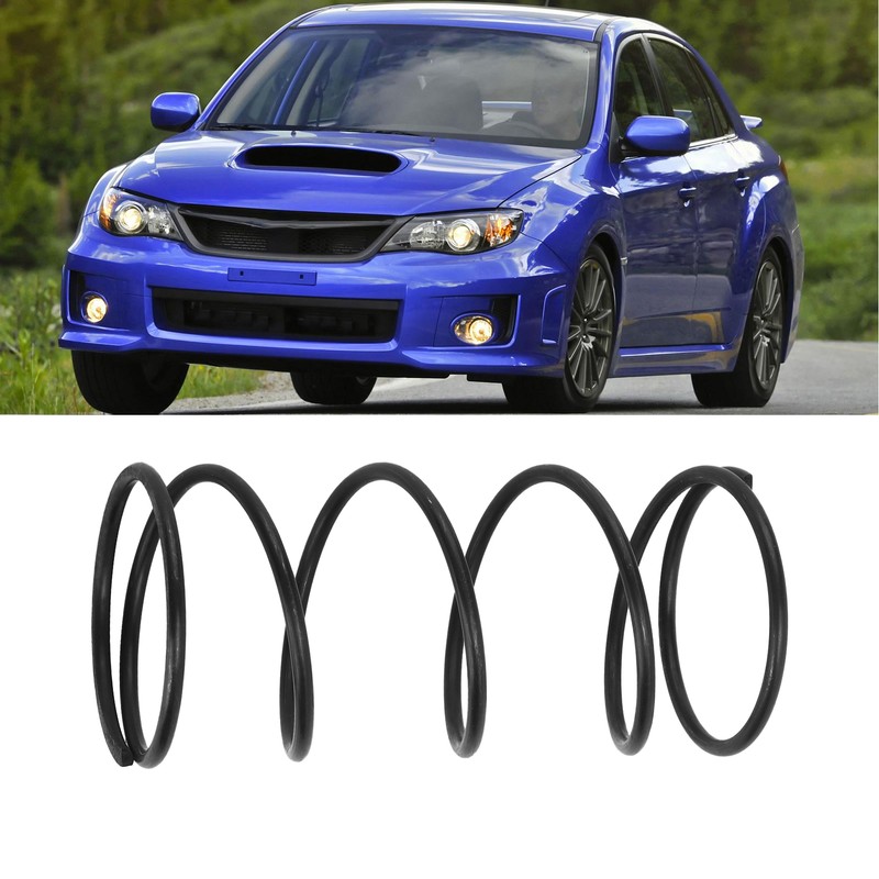 7PSI/14 PSI Coil Spring Flue Gas Valve Carbon Steel Replacement