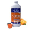Buried Treasure VM100 Daily Multi Liquid Vitamins and 70 Minerals