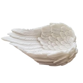 S.T.S.G Accessory Tray, Purification Dish, Small Items, Angel Wings, Tray, Stylish, Placing Plate, Small Plate, Power Stone, For Purification, Entryway, Lucky Charm (White)