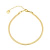Women's Anklet, Gold, Fine, Snake Chain, Stainless Steel, Hypoallergenic, Friends,