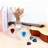 Reabosko Acrylic Clear Guitar Pick Display Case, 1 Pcs Guitar