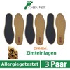 3 P. Black o. Insoles Brown Antibacterial Cinnamon [Improved Model