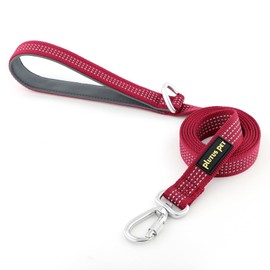 Plutus Pet Heavy Duty Dog Leash with Lockable Aluminum Carabiner, 4/6 Feet Long, Double-Sided Reflective Nylon, Padded Handle, for Puppy, Small, Medium and Large Dogs (Burgundy Red, 1" x 6')