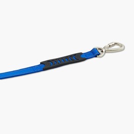 DF Co. Bungee Dog Leash | Strain Free & Shock Resistant for Control | Neoprene Padded Handle, Heavy-Duty Carabiner Clip, and D-Ring | Classic Blue, Size Regular