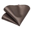 DiBanGu Plaid Ties for Men Silk Checkered Necktie and Pocket