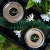 CVAULT | 1/4 oz Twist Top Storage Container | Shatterproof,