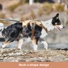 Wisebom Multi-Purpose Dog Harness, Escape Proof Anti-Pull Dog Harness, Anti
