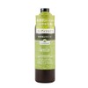 HERBANICA Herbal Extract & Essential Oil Conditioner, 16.9 fl oz