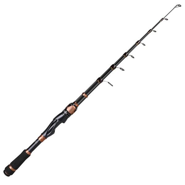 PLUSINNO Fishing Rod and Reel Combos, Bronze Warrior Toray 24-Ton
