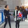 Telescopic Flag Pole, Handheld Telescopic Pole, Extendable Flag Pole Telescopic