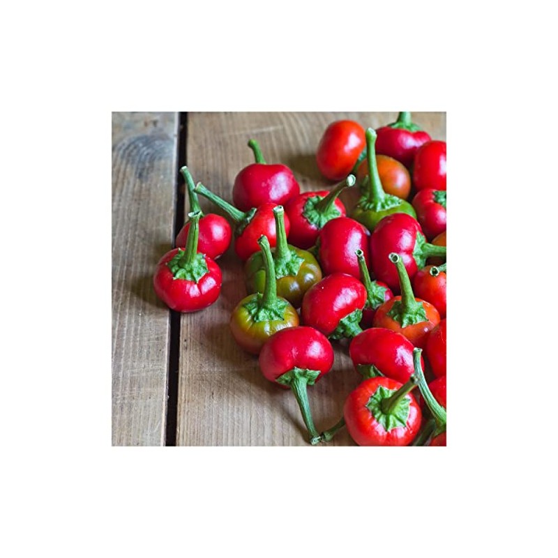 Everwilde Farms - 1/4 Lb Red Cherry Hots Hot Pepper