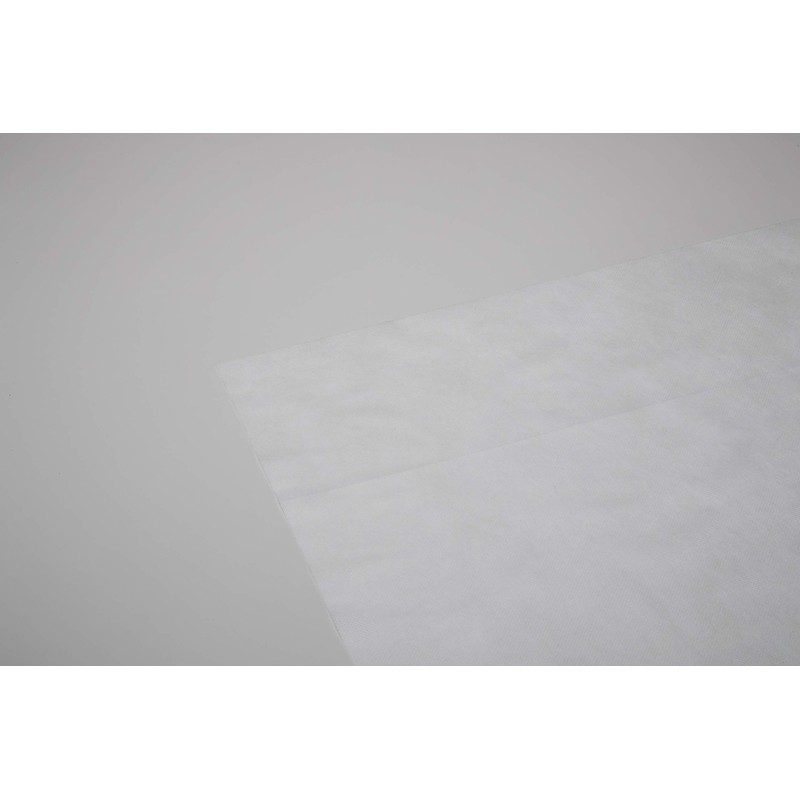Earl(R) RD-1001 Dust Mite Proof Sheet for Compression Bags 2P