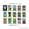 JLPGA BRIGHTENER Game Playing Cards