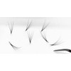 Alluring Loose 10D 8D Premade Lash Fans 0.03mm 0.05mm C