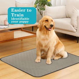 Bunlitent Washable Pee Pads for Dogs 36" x 72", 3 Pack, Reusable Puppy Pads, Dog Training Pads with Quick Dry, Large Anti-Slip Whelping Pad for Pet, Playpen, Incontinence, Housebreaking.