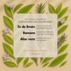 Jabón líquido para manos Lemon Grove con aceites esenciales Aura