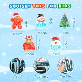 HAKOTOM Squishy Sensory Toys for Kids, 5 Pack Christmas Fidget Toys, Sensory Toys for Kids with Autism ADHD, Calm Down Corner Supplies for Children Special Needs, Sensory Fidget Tubes Filled Goo
