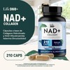Life 360+ COLLAGEN NAD+ | 210 Cápsulas Suplemento Dual: Colágeno