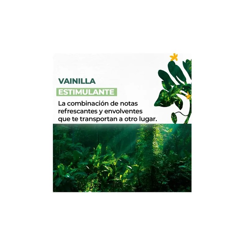 Crema Para Manos Hidratante Vainilla Bourbon Yves Rocher30ml