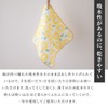 NOREN Japanese Cotton Towel Senshu (Osaka) Towel/Washcloth Face Towel Japanese