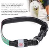 USB Rechargeable LED Pet Adjustable Carved Collar Dog Lighting Night