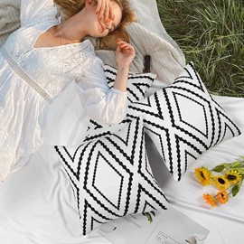 Dremisland Black and White Boho Pillow Covers 18 x 18 inches Aztec Geometric Pillowcases Waterproof Square Decorative Cushion Covers for Sofa Couch Bed Patio Garden