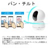 Planex CS-QS10PT Security Camera Smakame 1080p Oscillating Pan Tilt