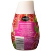 Renuzit Adjustables Gel Air Freshener, Raspberry, 7 Ounce