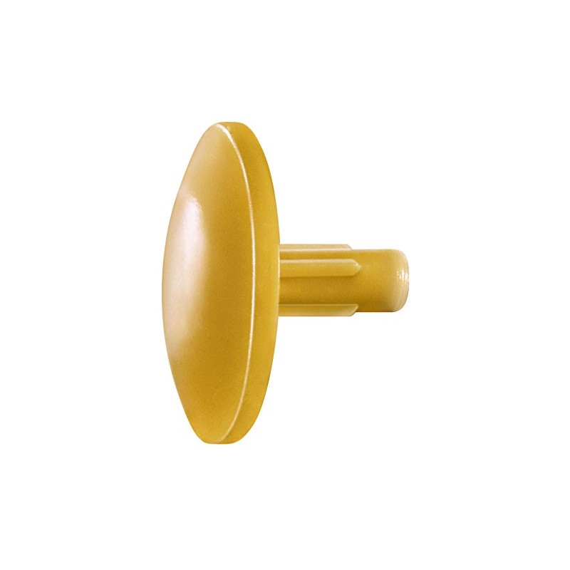Spax Plastic Cover Cap for Spax with Hole, Ochre, 500