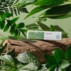 Spirited Incense Incense Sticks Aroma Sandalwood [Forest Scent] Scented Stick