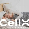 Cellx Apigenina Con Quercetina Y Crcuma 60 Cpsulas Veganas