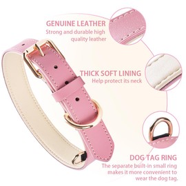Pink Leather Dog Collar，Padded Collars, Adjustable Soft Strong Design for Small,Medium,Large Breeds (M)