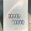 Divock Divok White Night White Night Magnetic Gel 10-piece set
