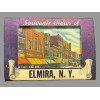 Souvenir Views of Elmira New York Color Tinted Miniature Postcard