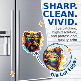 (2 Pack) Yorkshire Terrier Dog Magnets - Yorkshire Terrier with Sunglasses - Choose FromOver 100 Dog Breeds - 5" On Longest Side - Premium Magnet - Made in USA - MAG0418