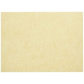 Nagao 6160 Placemats, Unexposed, 7.5 x 10.2 inches (19 x 26 cm), Set of 100, Made in Japan